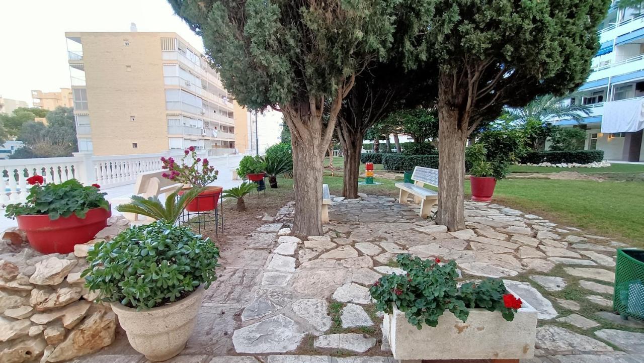 Holidays At My Spanish Grandma Аліканте Екстер'єр фото